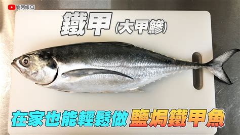 鐵甲 魚